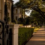 Tree-lined River Oaks luxury neighborhood street