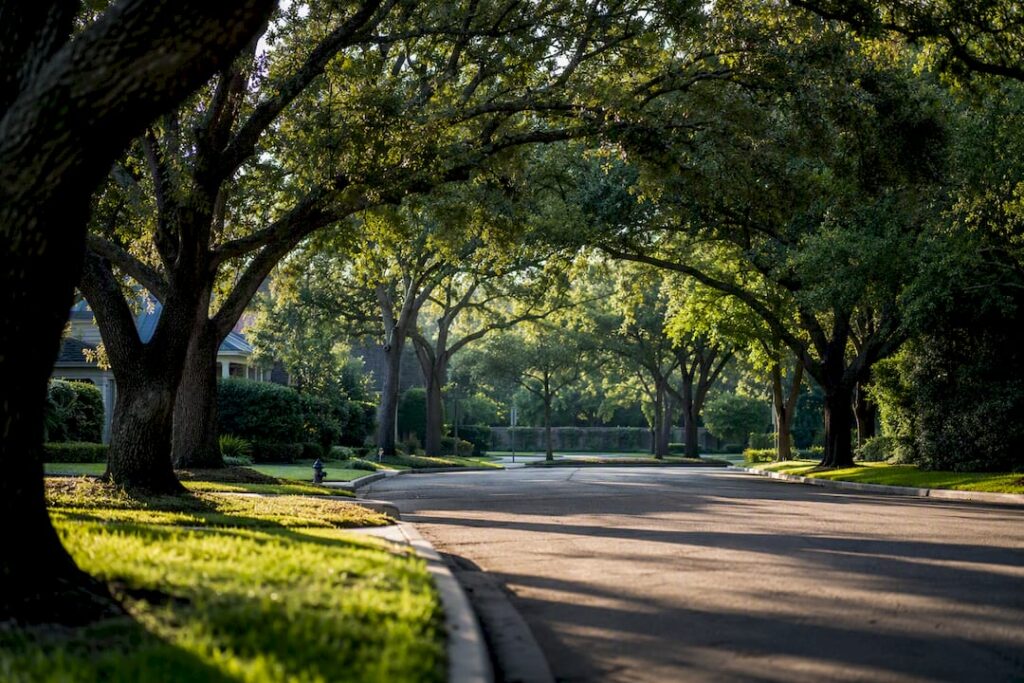 Tree-lined West University Place residential street