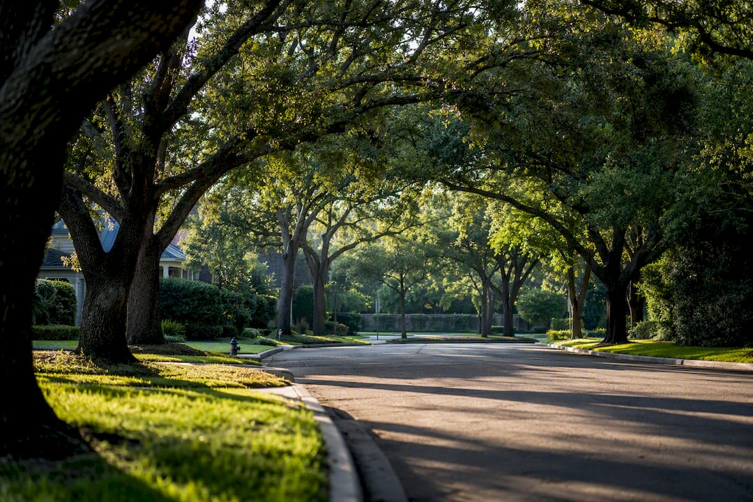 Tree-lined West University Place residential street