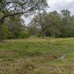 Undeveloped Houston estate lot with drainage swale