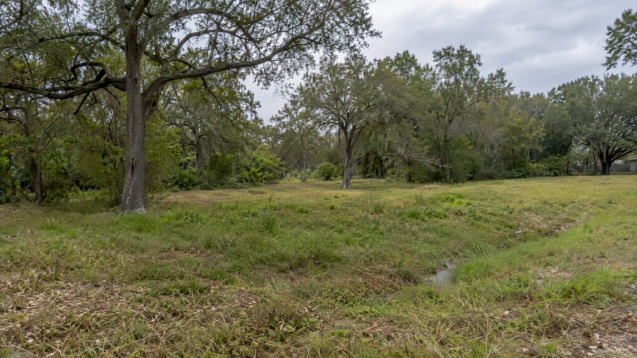 Undeveloped Houston estate lot with drainage swale